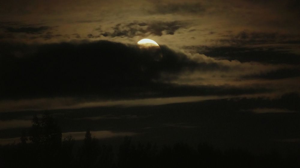 Photograph by Александр Климов