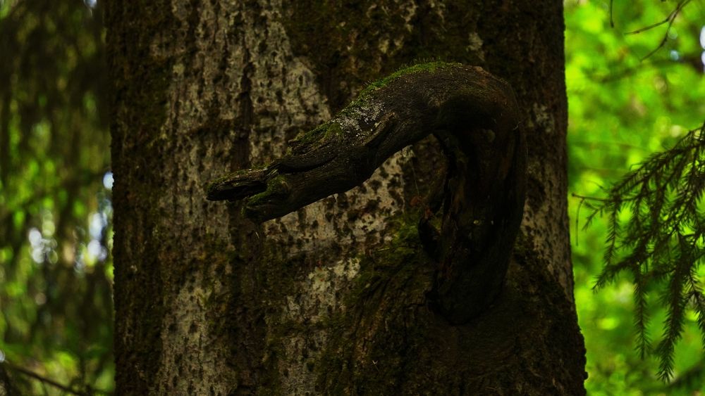 Photograph by Александр Климов