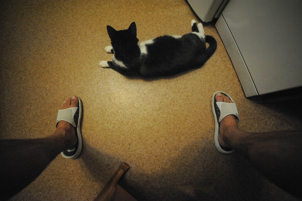 Photograph by Александр Вавулин