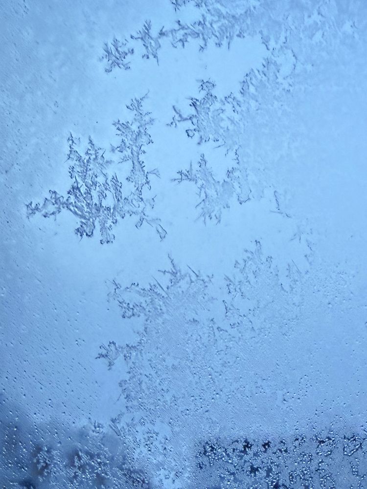 Photograph by Елена Чулюнина