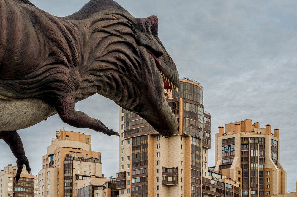 Photograph by Александр Вавулин