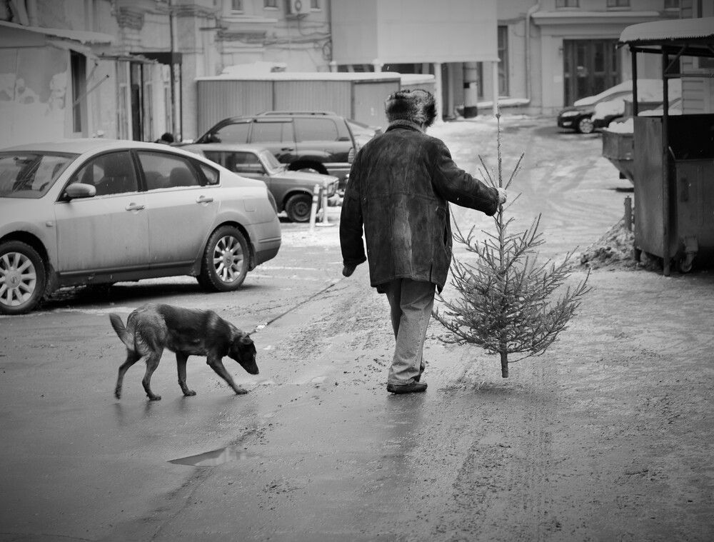 Photograph by Екатерина Тонина