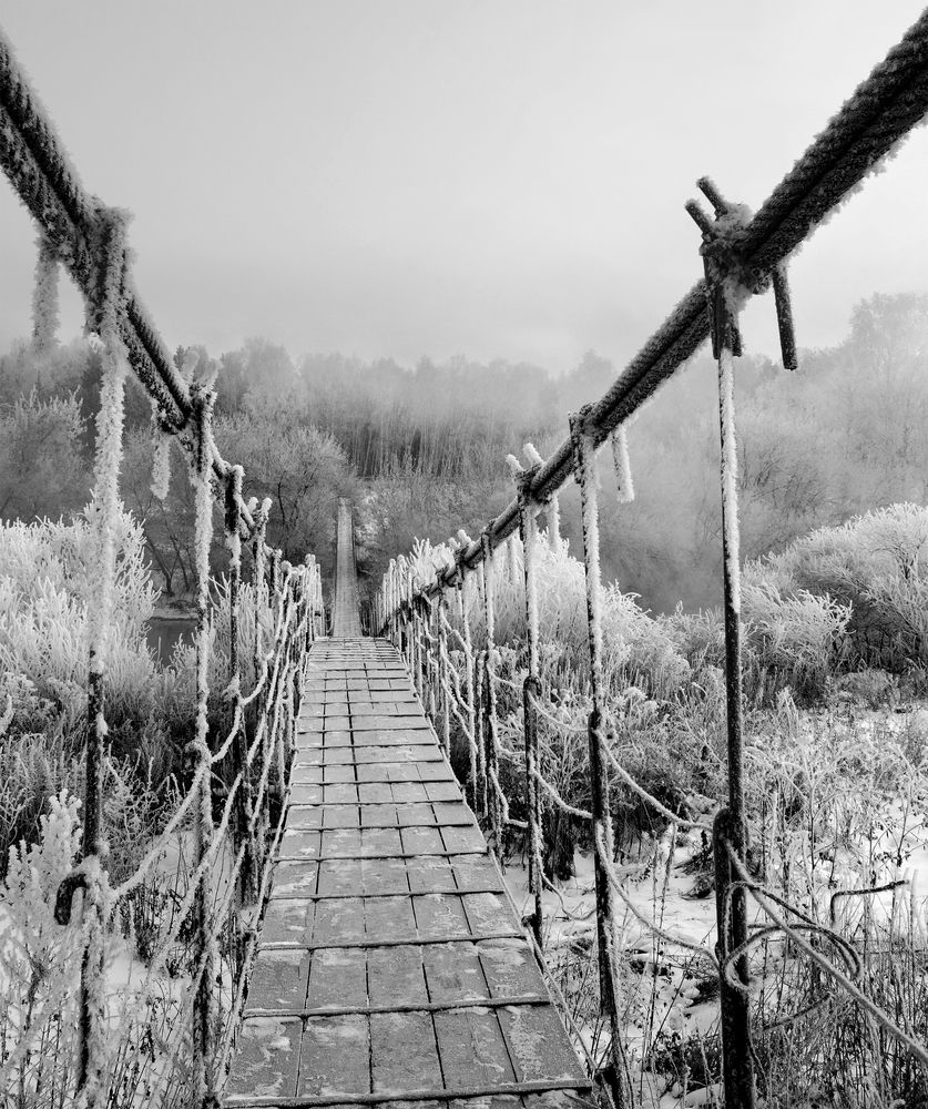 Фотография автора Кухта Мария