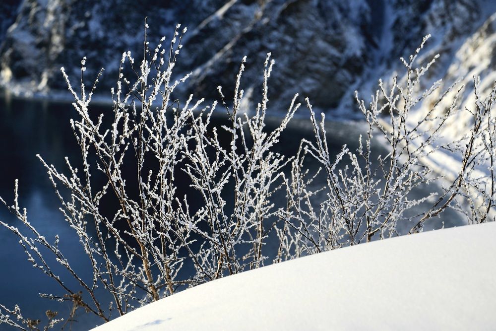 Photograph by Лариса Ким