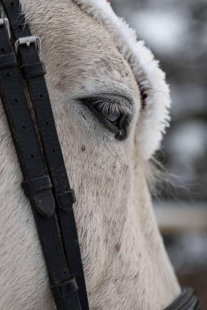 Photograph by Наталья Гущина