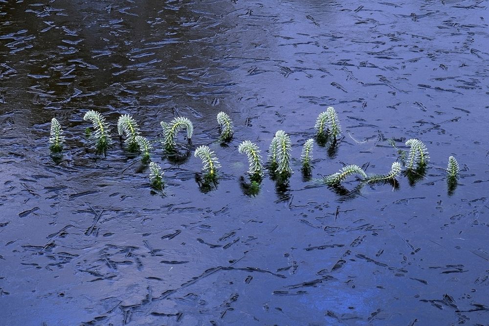 Фотография автора Дьяченко Игорь