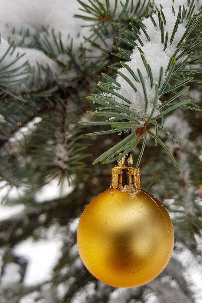 Photograph by Надежда Хрусталёва