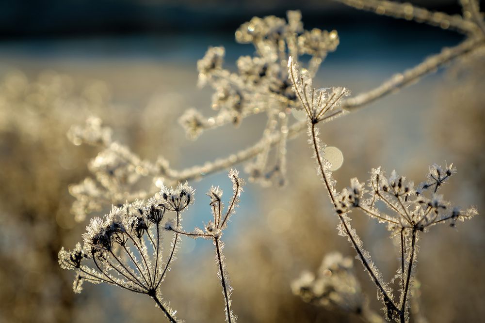 Фотография автора Юрий Фефилов