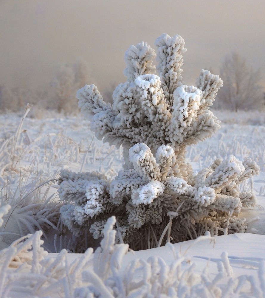 Photograph by Александр Попов