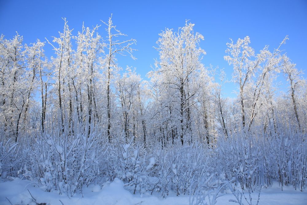 Photograph by Марина Юрченко