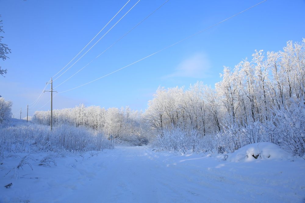 Photograph by Марина Юрченко