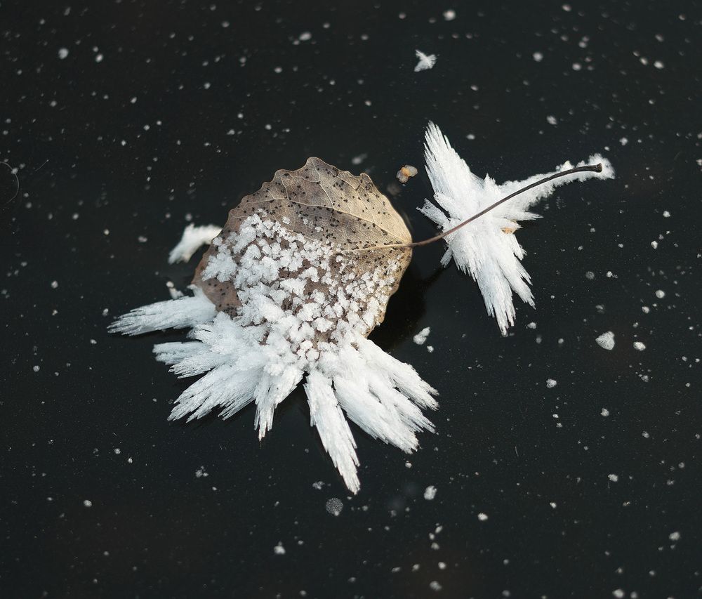 Photograph by Дмитрий Ткаченко