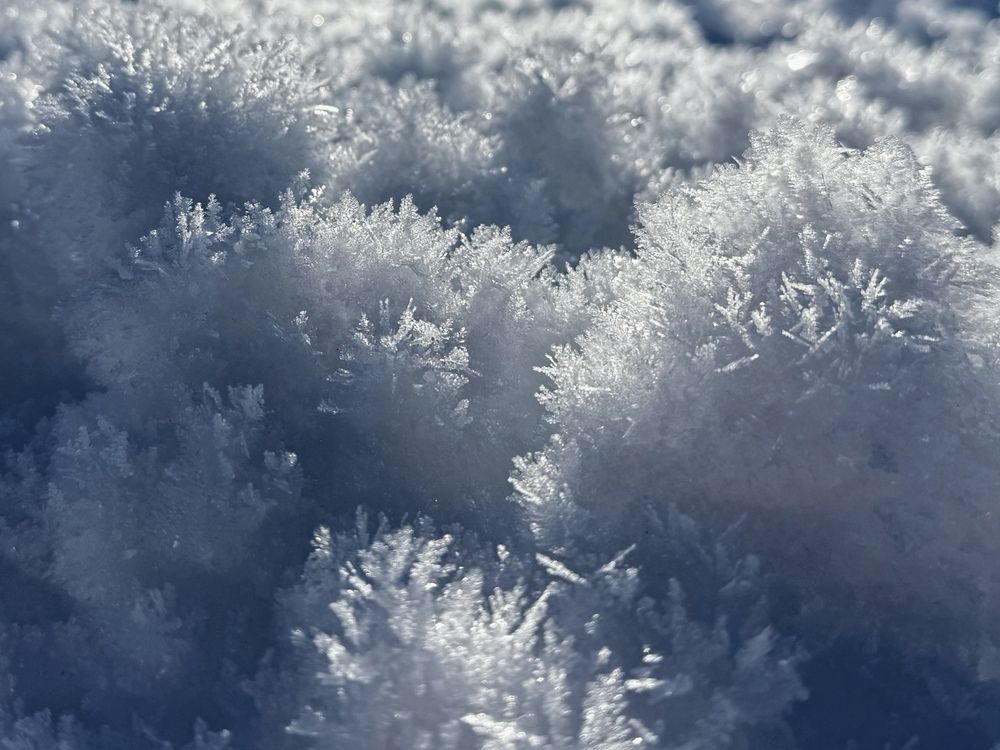 Photograph by Татьяна Семёнова