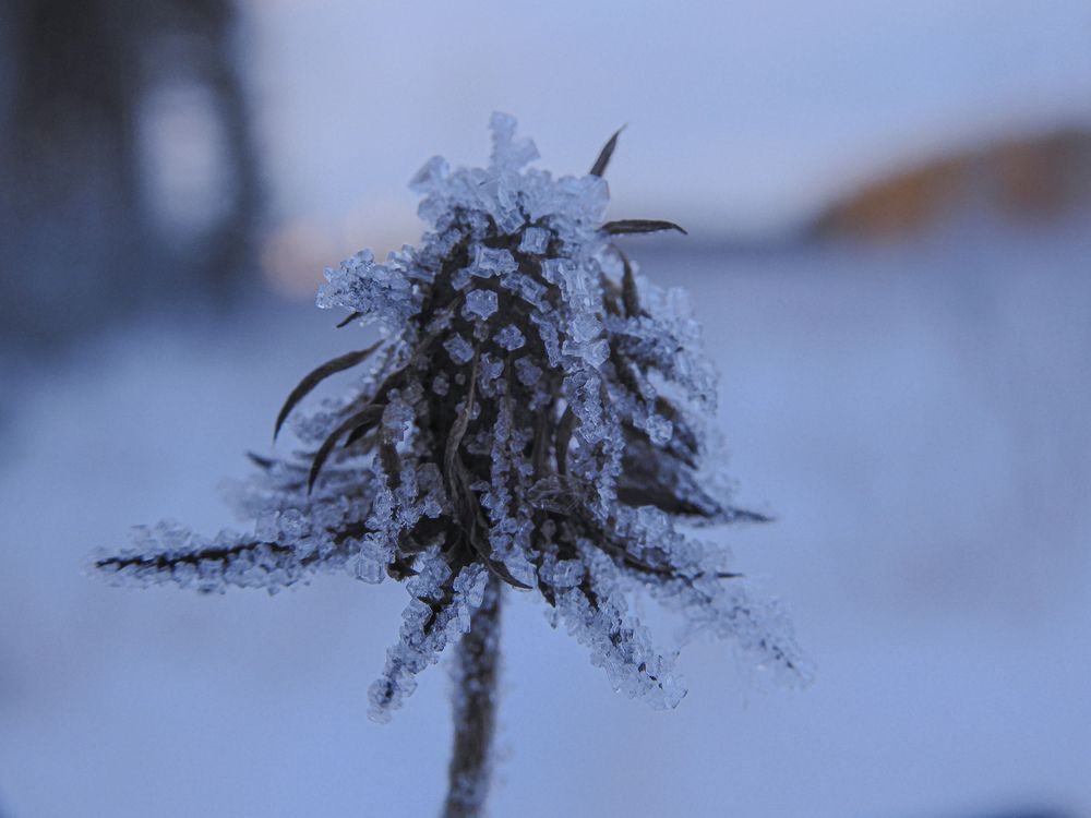 Photograph by Игорь Смирнов