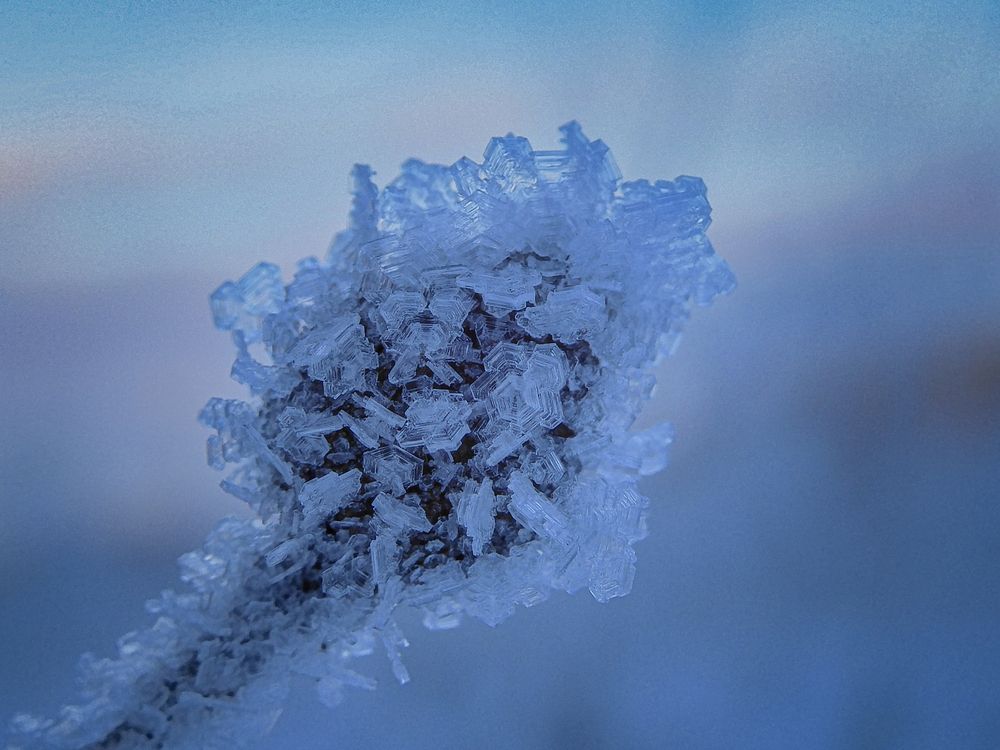 Photograph by Игорь Смирнов