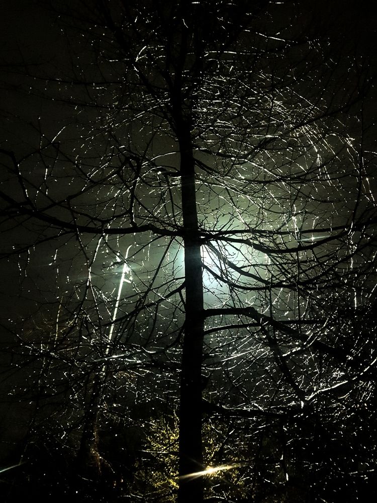 Фотография автора Егор Жук