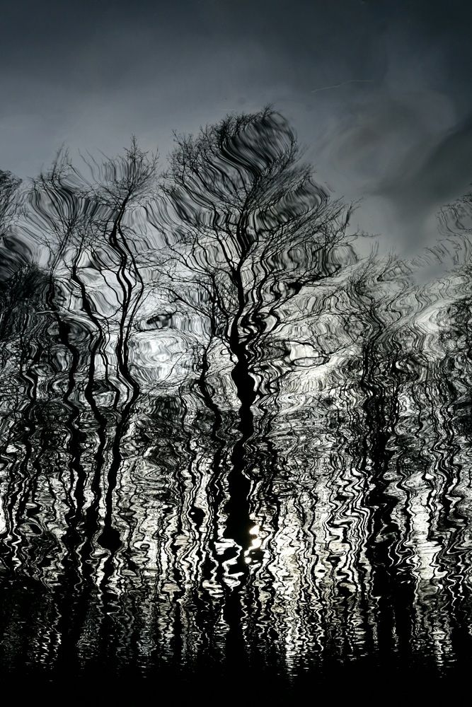 Фотография автора Егор Жук