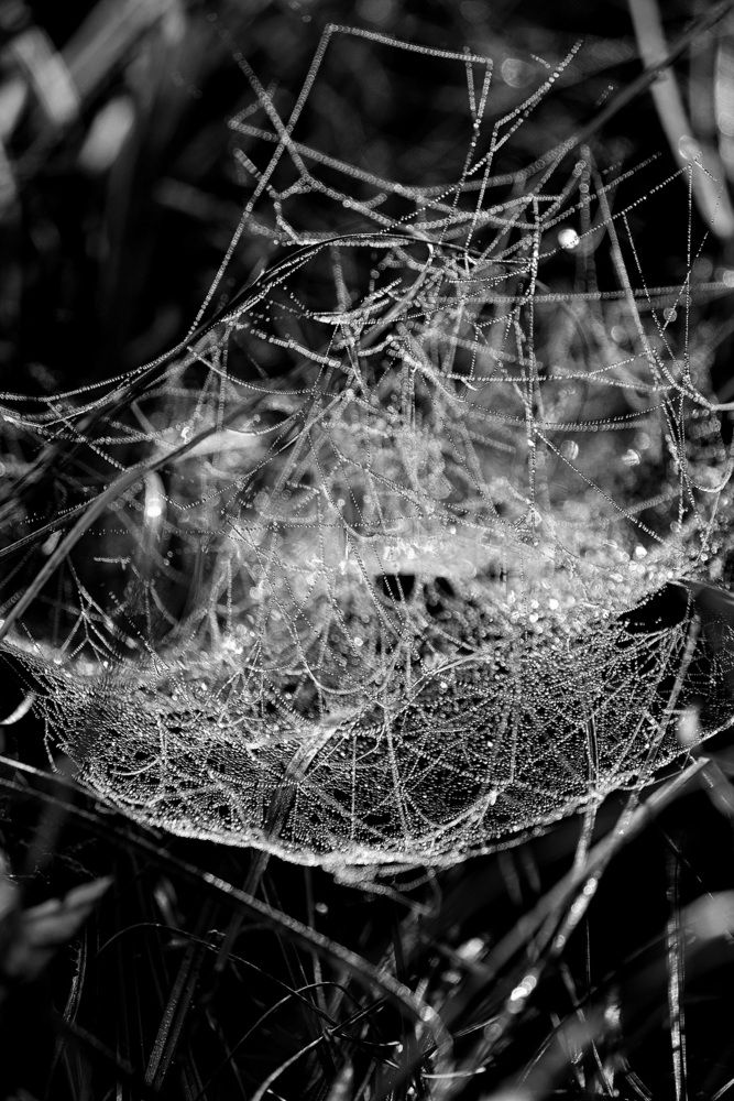 Фотография автора Егор Жук