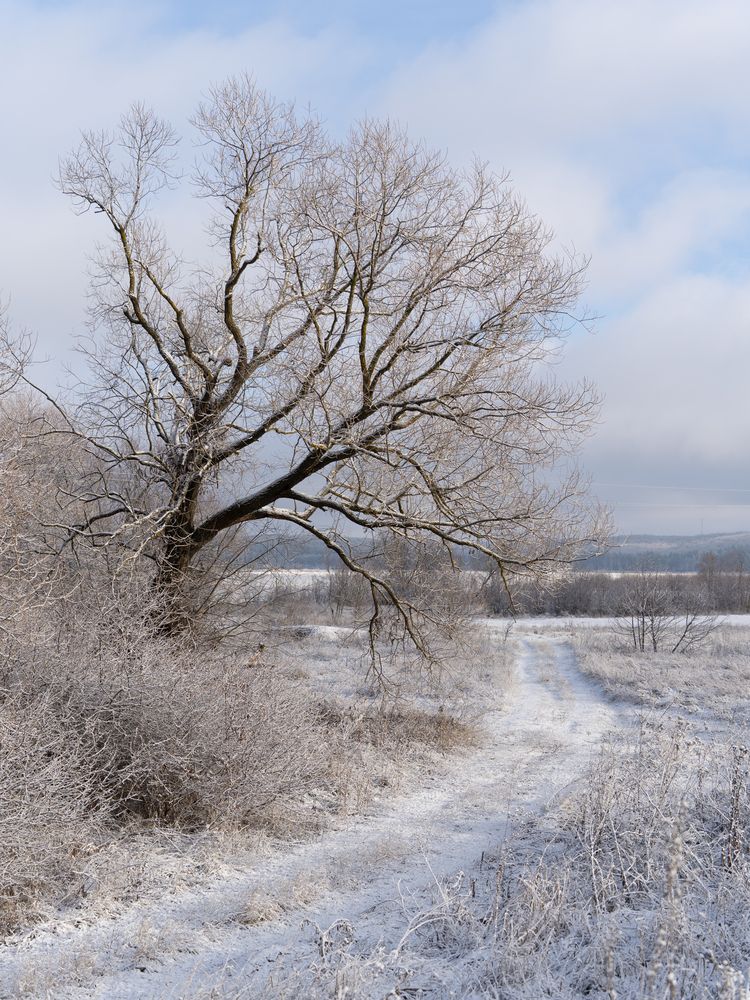 Photograph by Иван Мосьянов