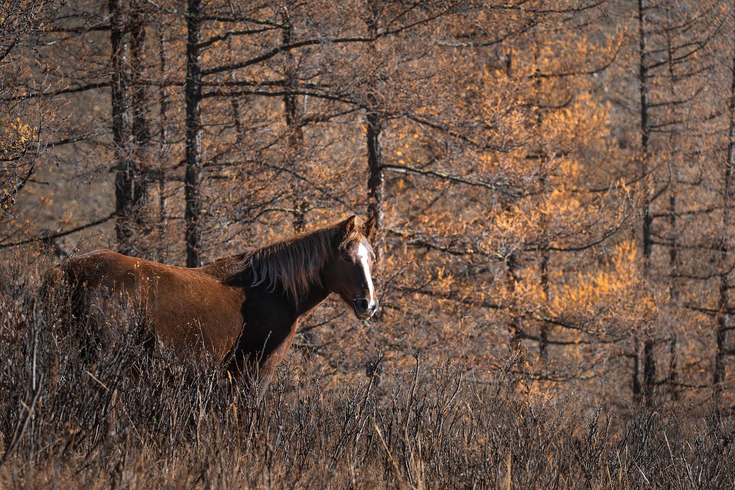 Фотография #13028576