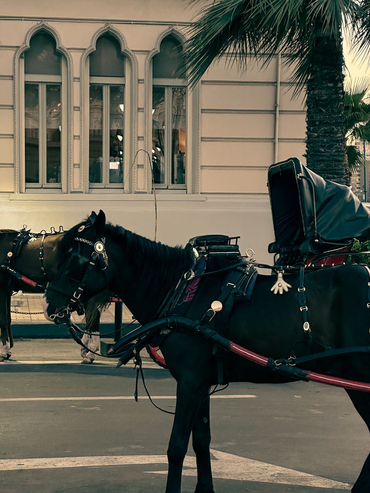 Photograph by Sara Ali