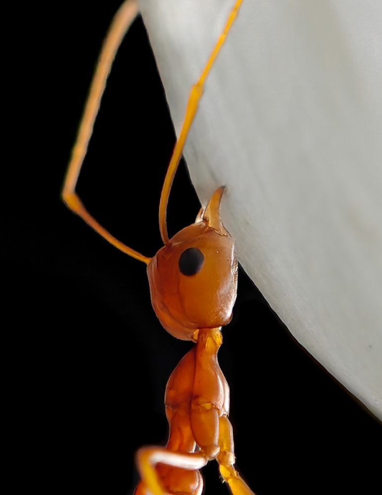 Photograph by Ameen Ahmed L