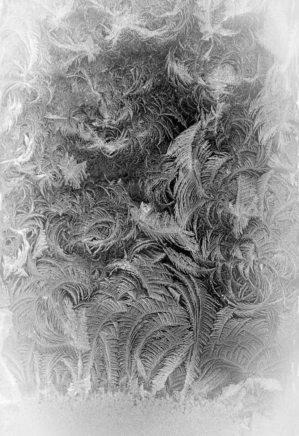 Фотография #13028617