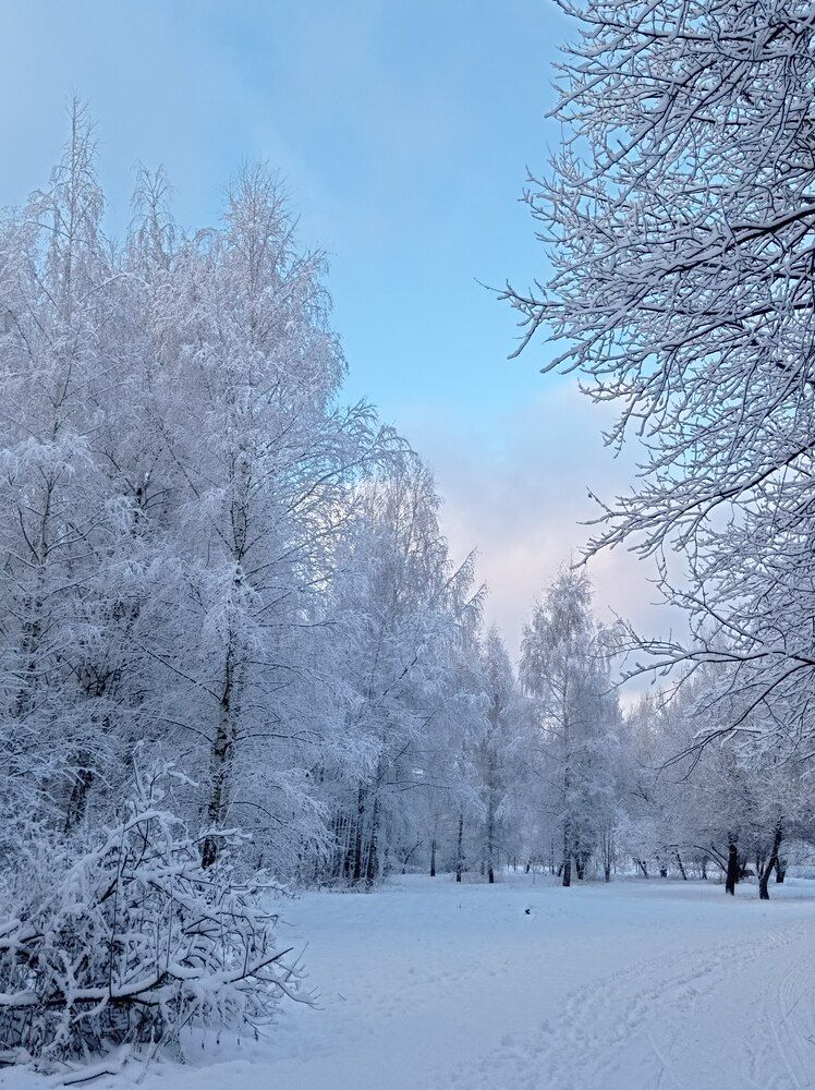 Photograph by Ирина Орлова