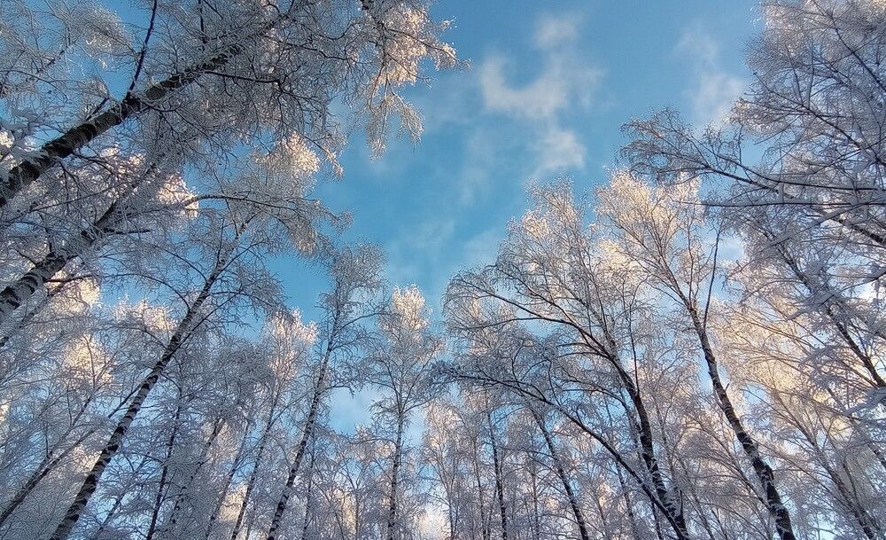 Photograph by Ирина Орлова