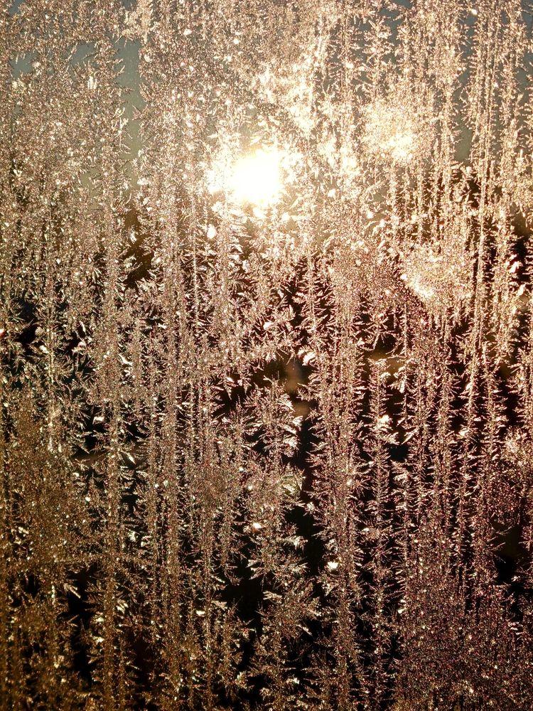 Photograph by Татьяна Бешенкина