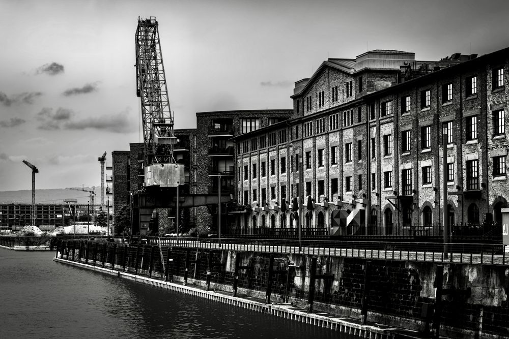 Photograph by Barbara Nichtern