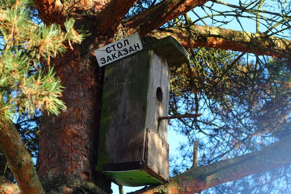 Photograph by Елена Наленч