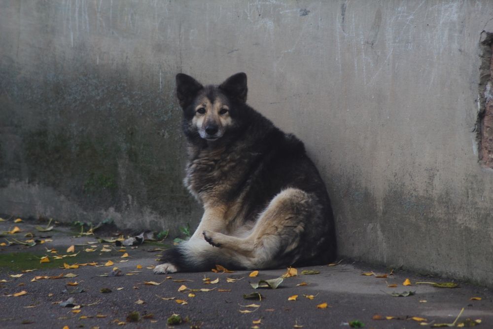 Photograph by Елена Наленч