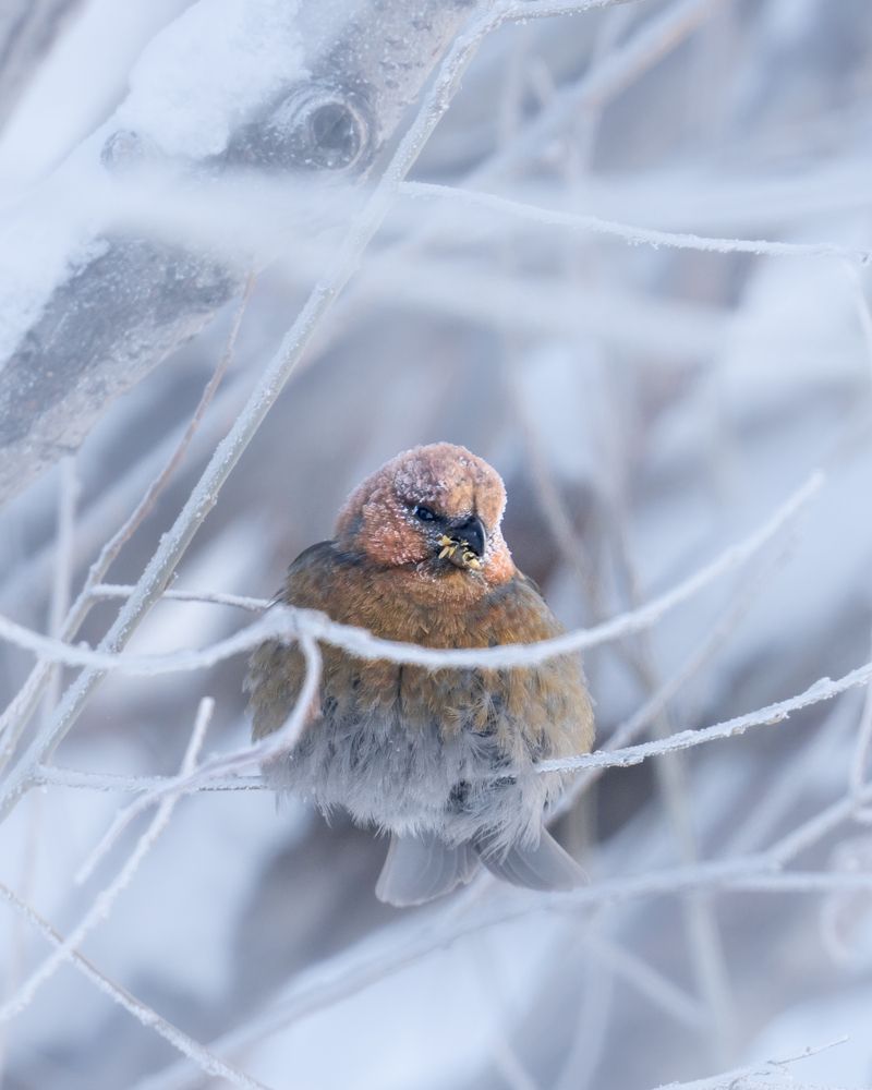 Photograph by Важенин Евгений