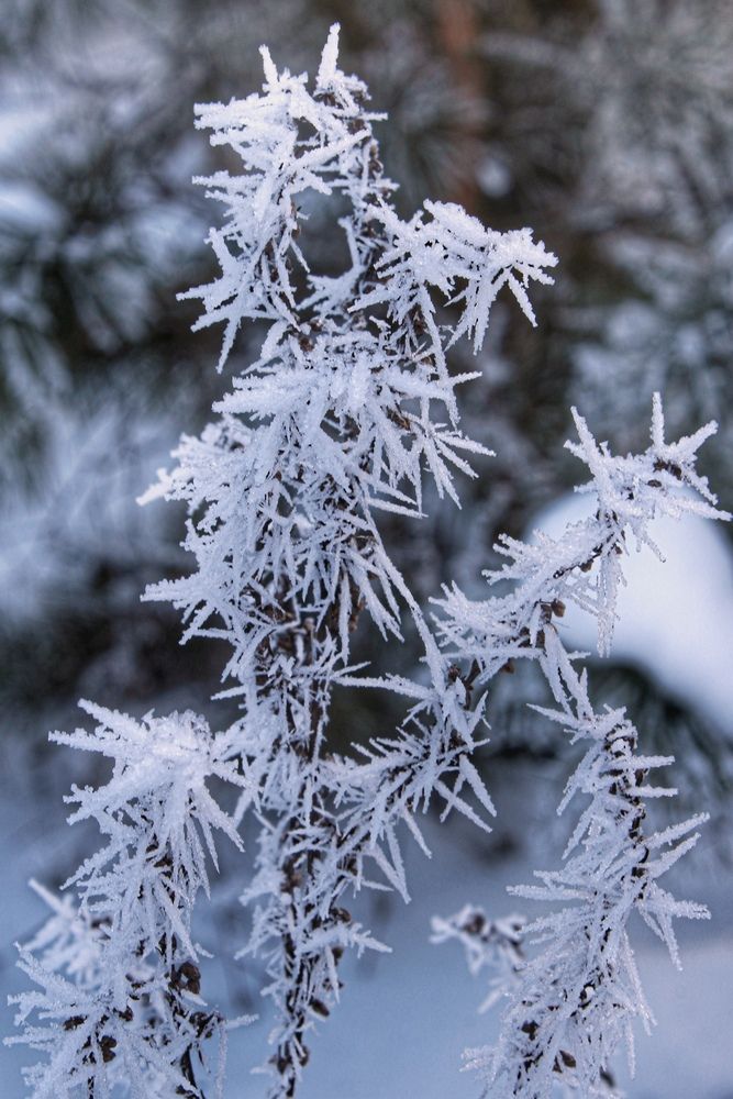 Photograph by Татьяна Бравая