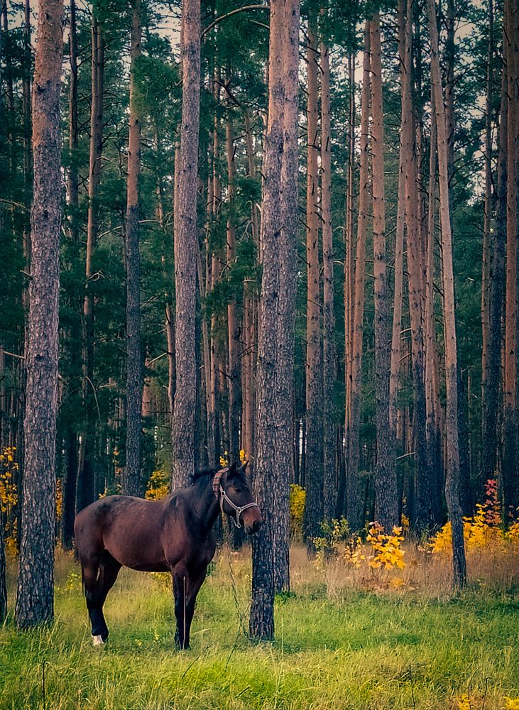 Photograph by Олеся Бронзова