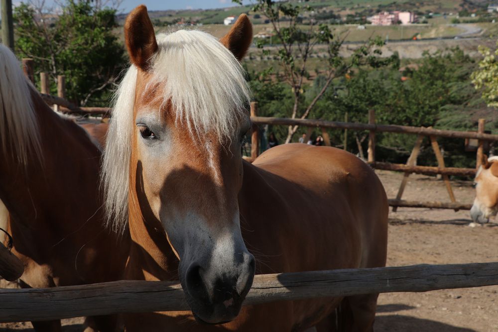 Photograph by Buket Demirel