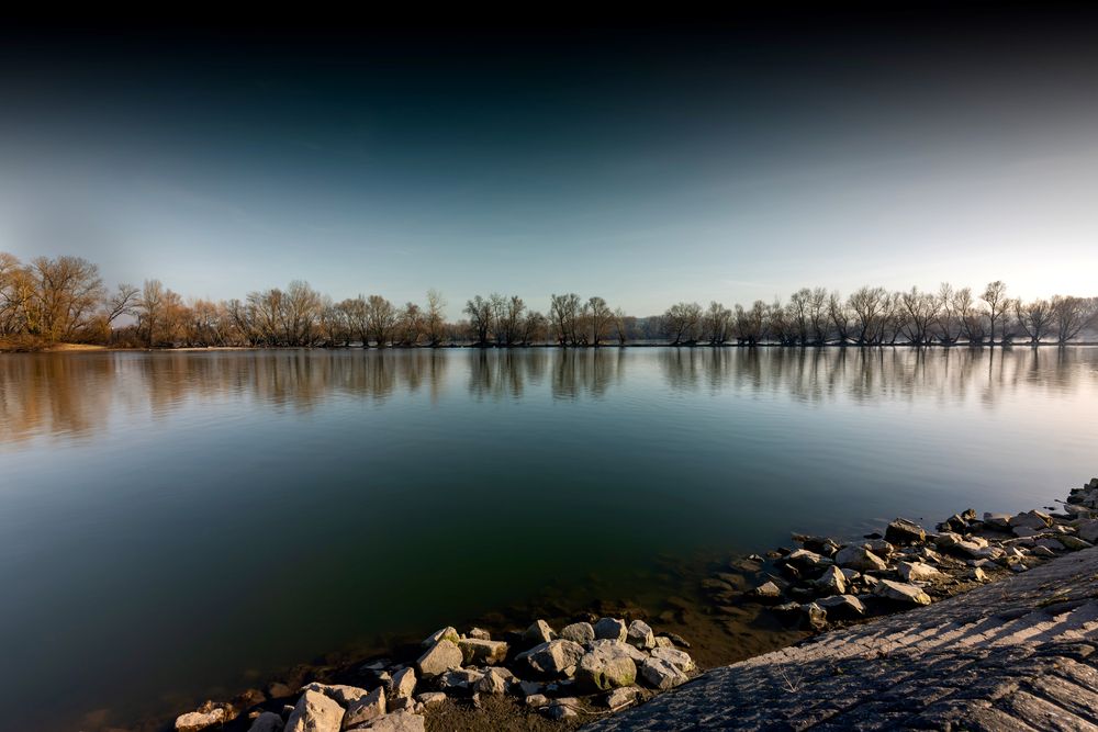 By The River I
