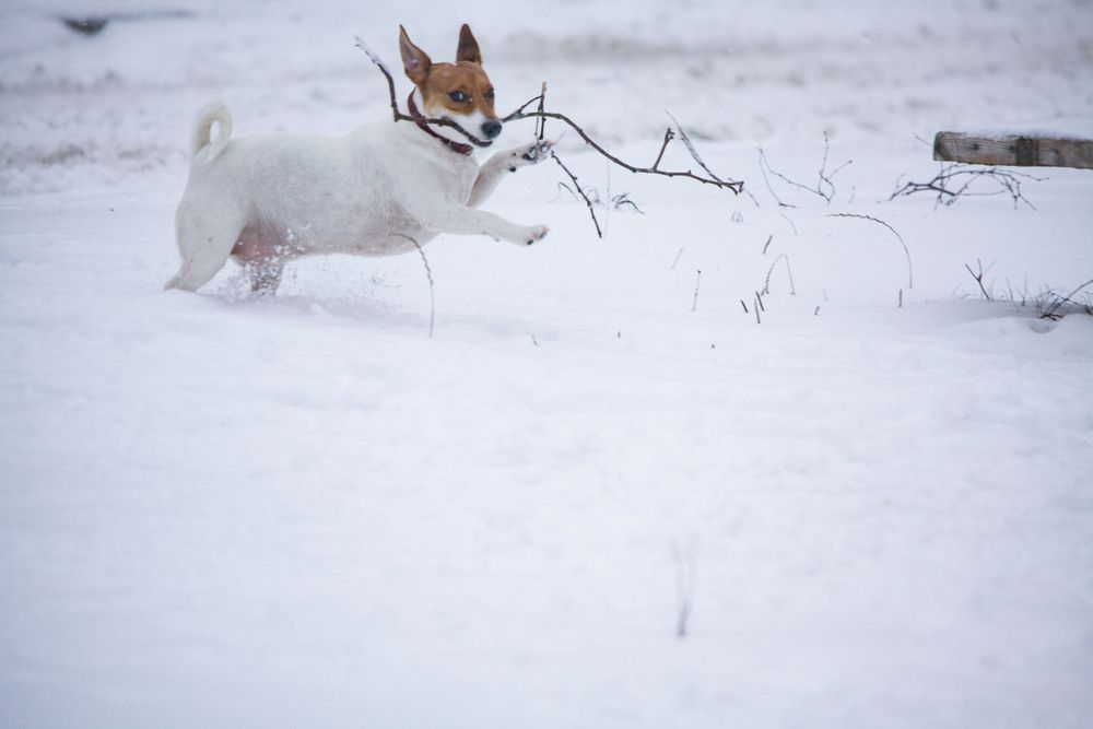Photograph by Алексей Борисов