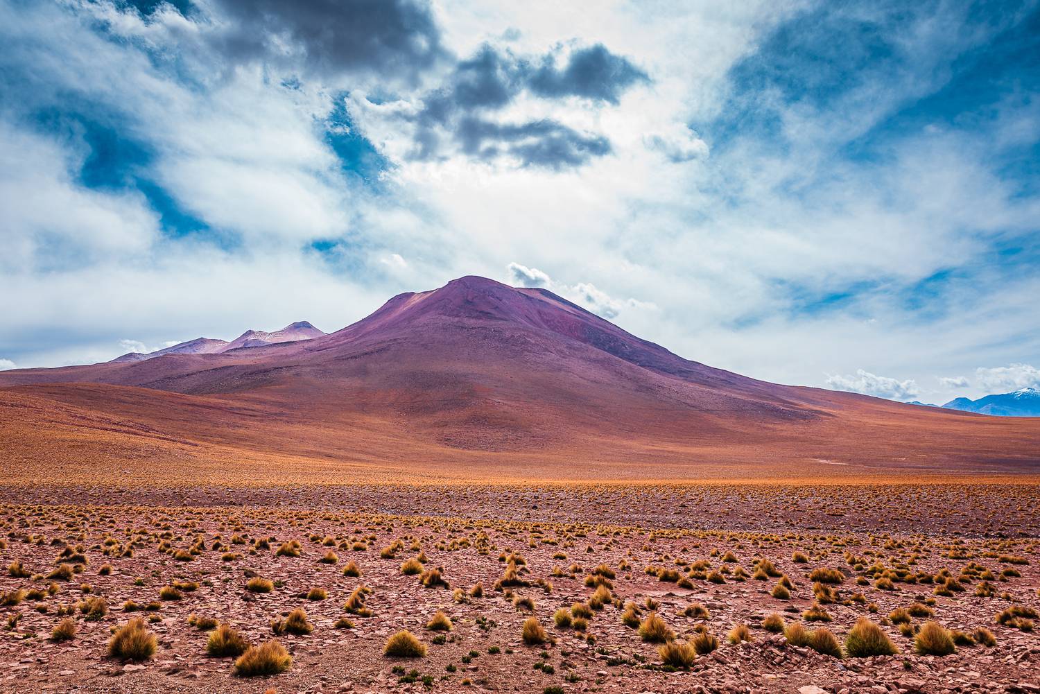 Фотография #13028797