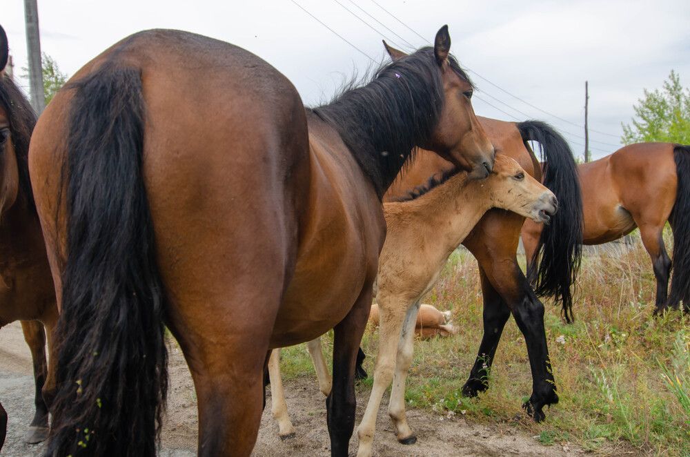 Фотография автора Вадим Басов