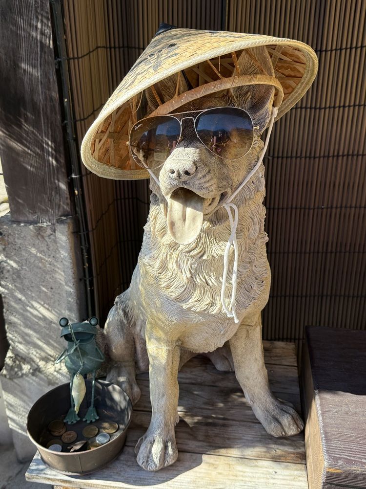 Фотография автора Алла Киселева