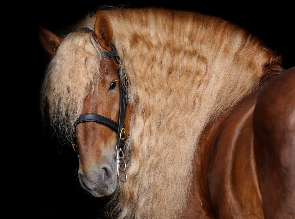 Photograph by Галина Волкова