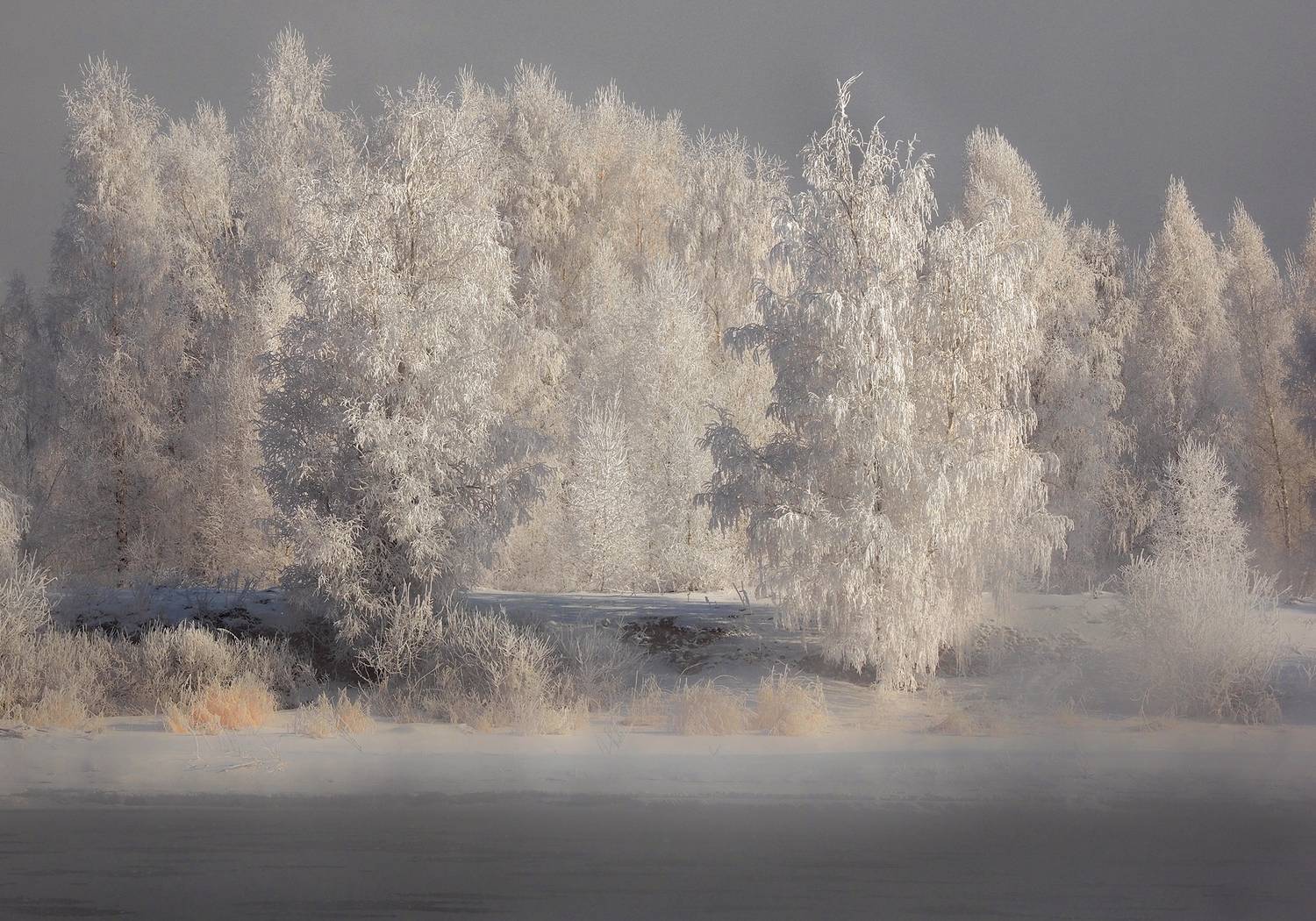 Фотография #13028845