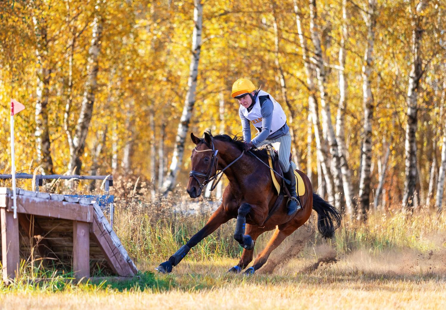 Photo #13028864
