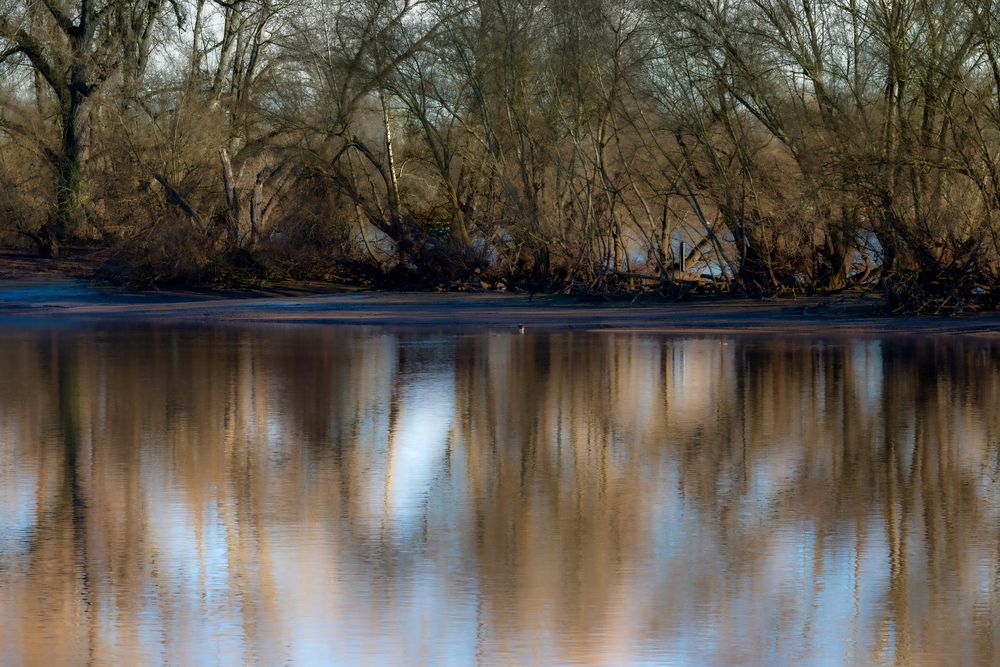 By The River II