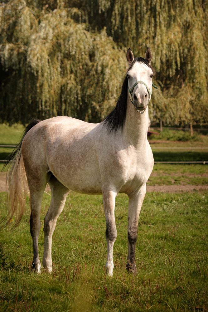 Photograph by Veronika Biró