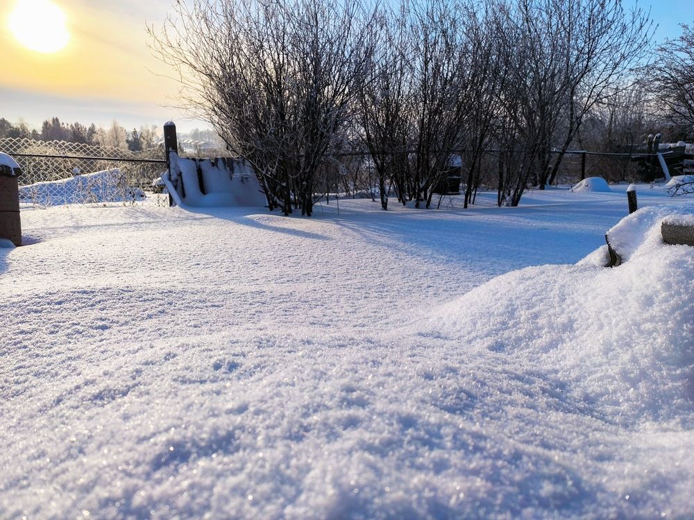 Photograph by Ирина Немкина