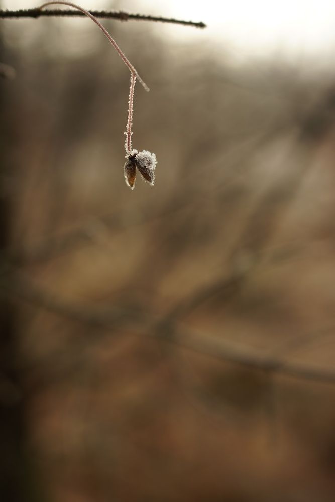 Фотография автора Наталья Осипчук