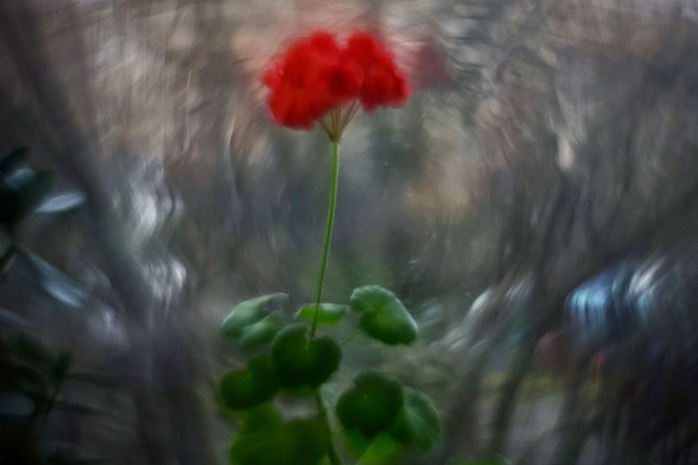 Фотография автора Яна Егорова